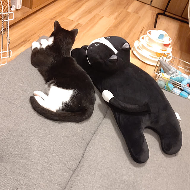 hihaさんの実例写真