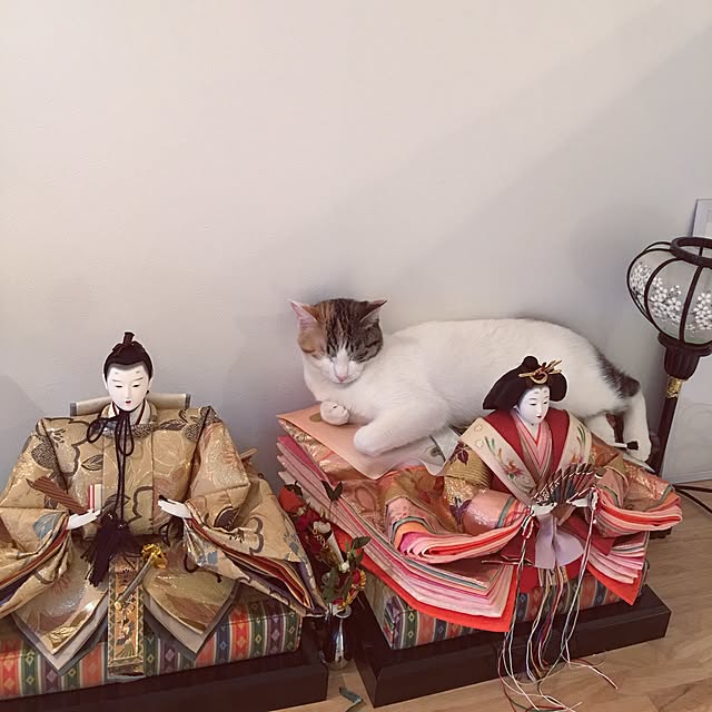 koumeさんの実例写真