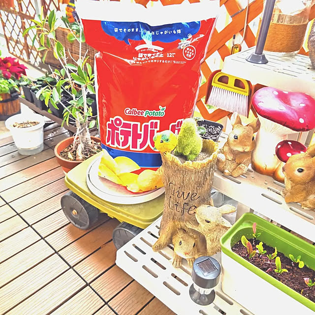 mariaさんの実例写真