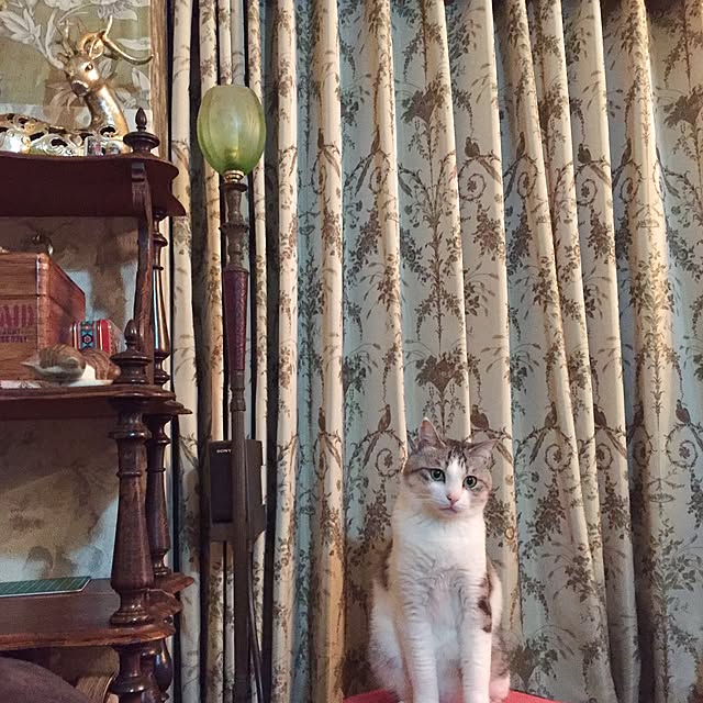 emmyyさんの実例写真