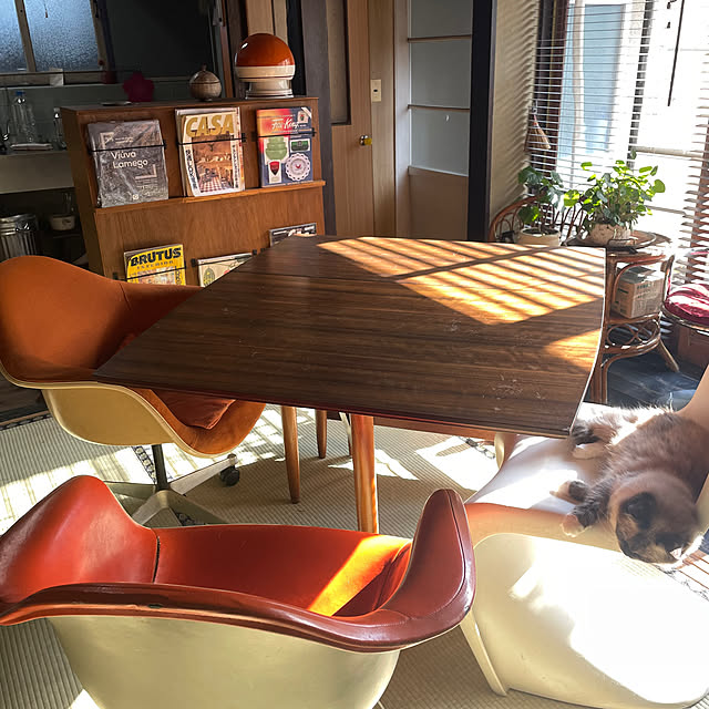 joshua.treeさんの部屋