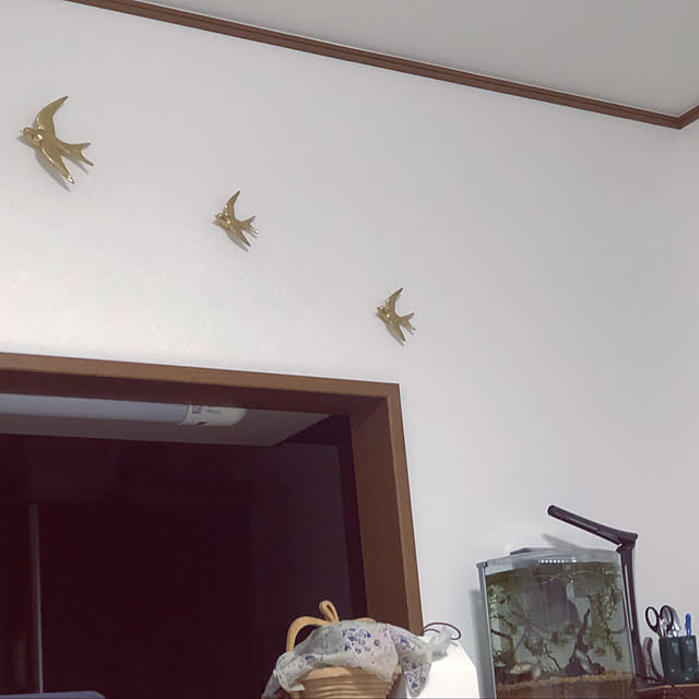 masa251さんの実例写真