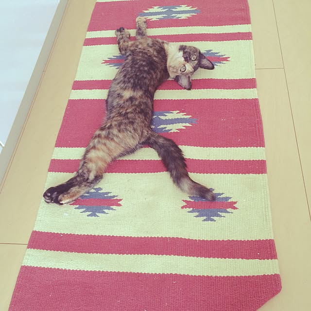 nmeeeさんの実例写真