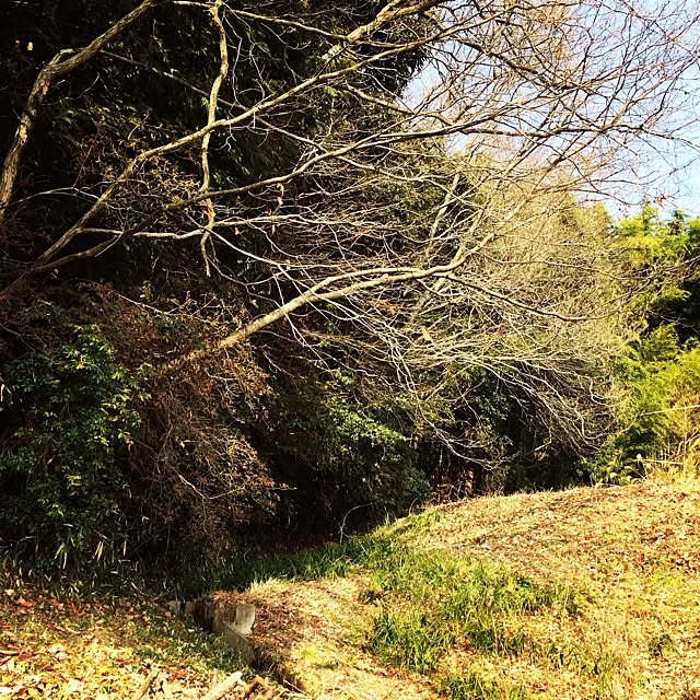 utataneさんの実例写真