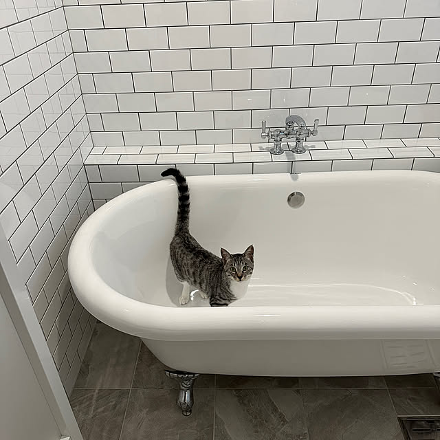 Nekogaoka_houseさんの実例写真