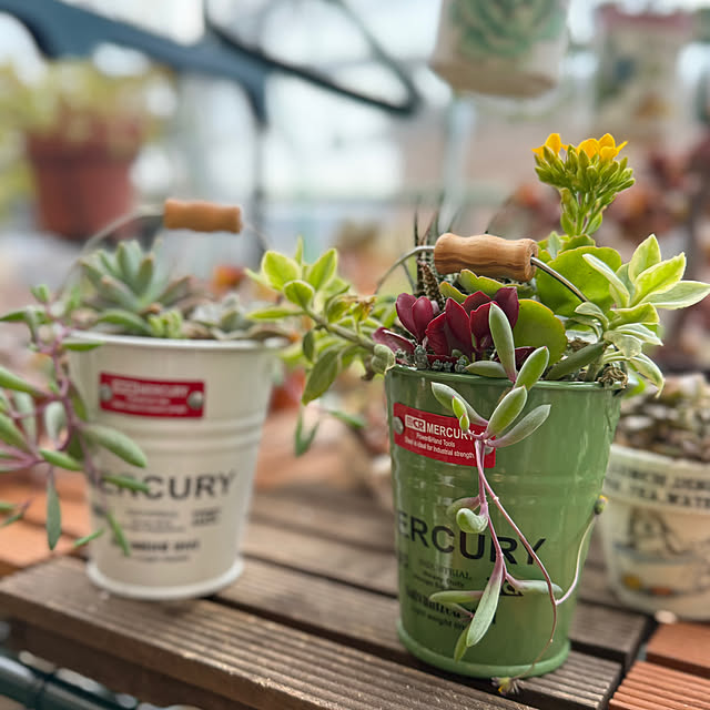 Aqettyさんの実例写真