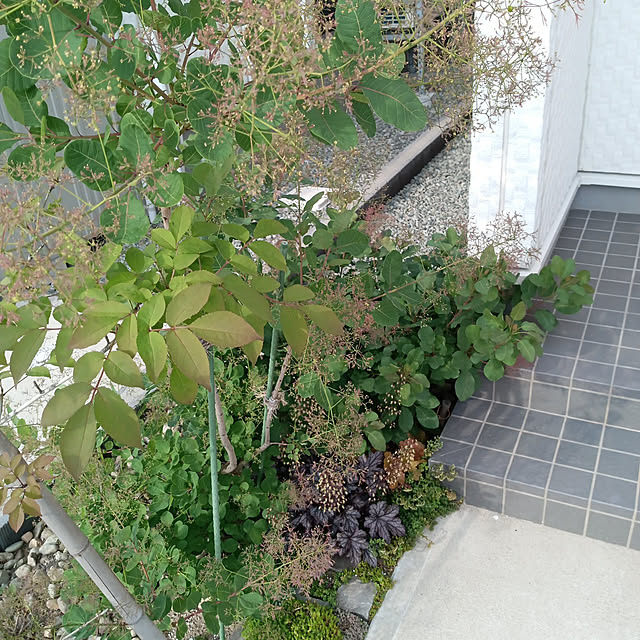 nyaさんの実例写真
