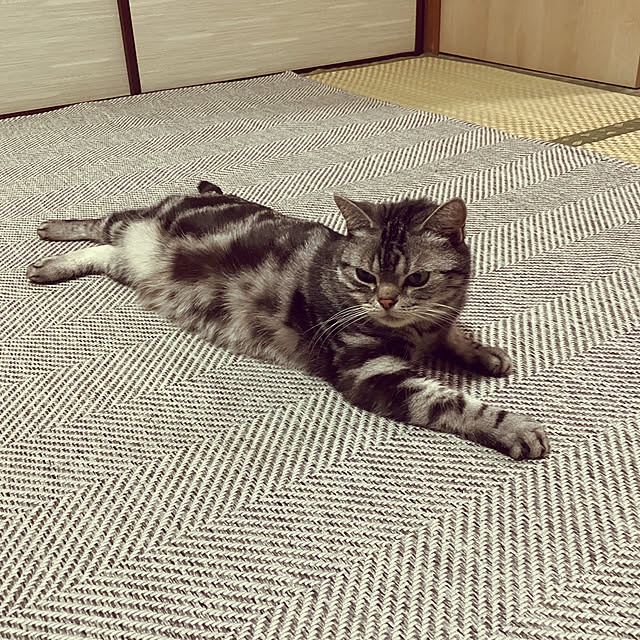 richanさんの実例写真