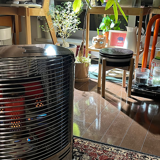 nnfwanicoさんの実例写真