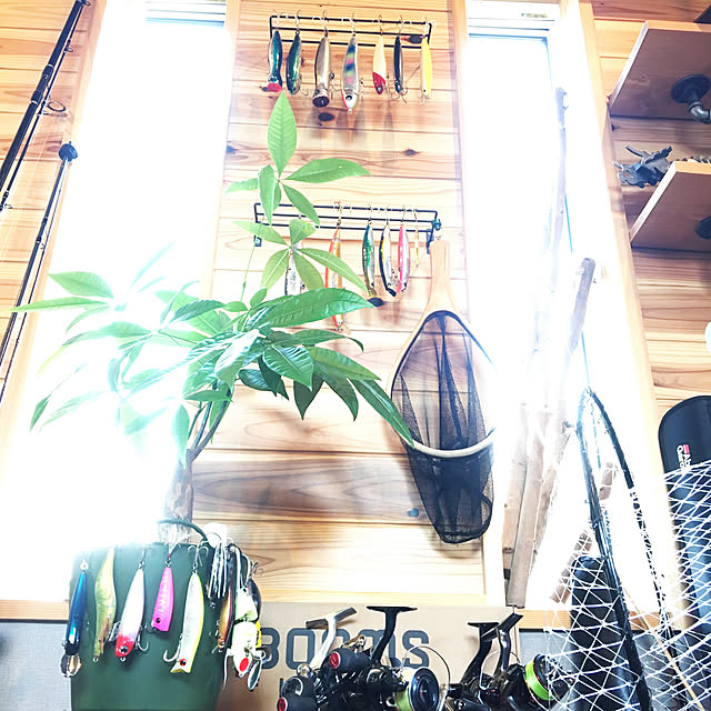 seiさんの実例写真