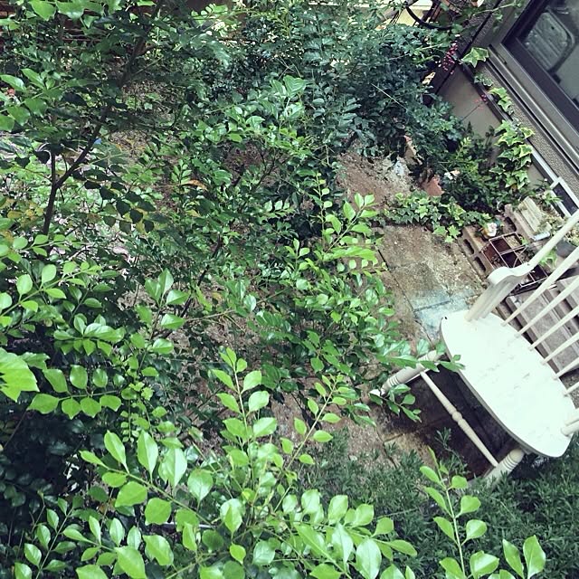 HINA7878さんの実例写真