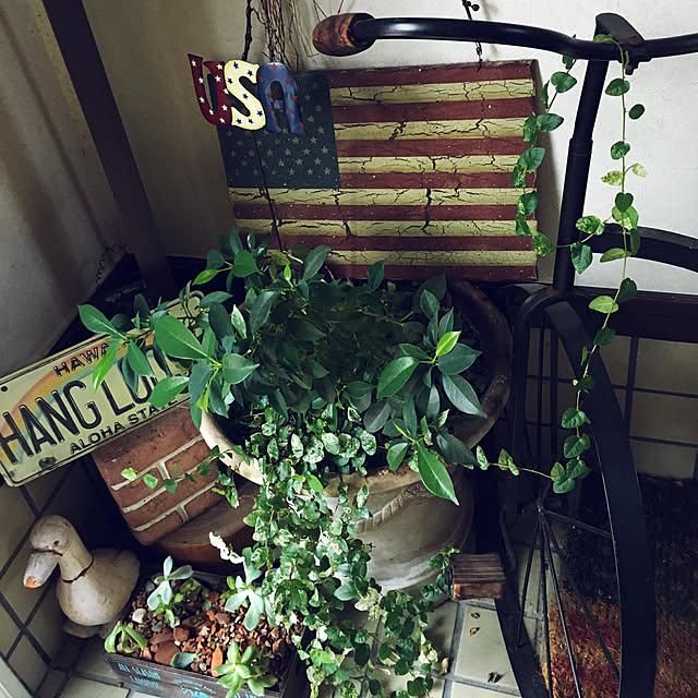 burgundy.roseさんの実例写真