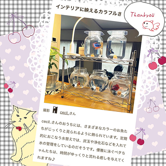 cecil..さんの実例写真