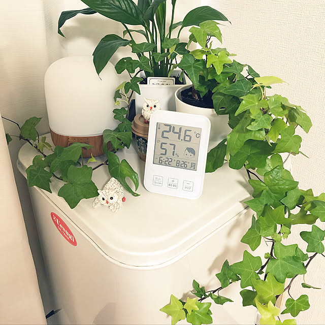 airinさんの実例写真