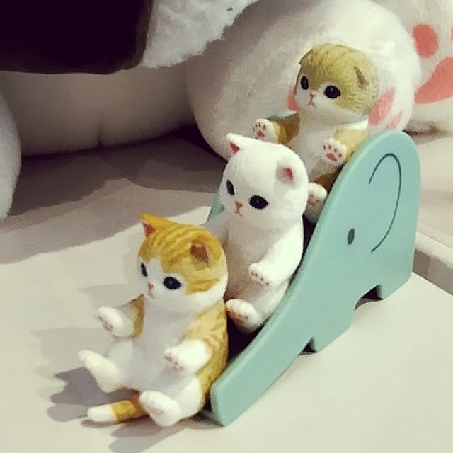 SACHIさんの部屋