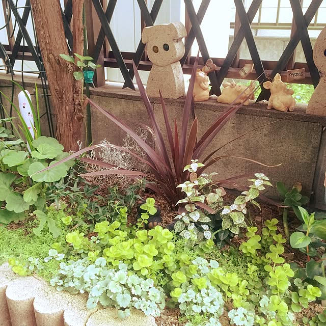実例写真
