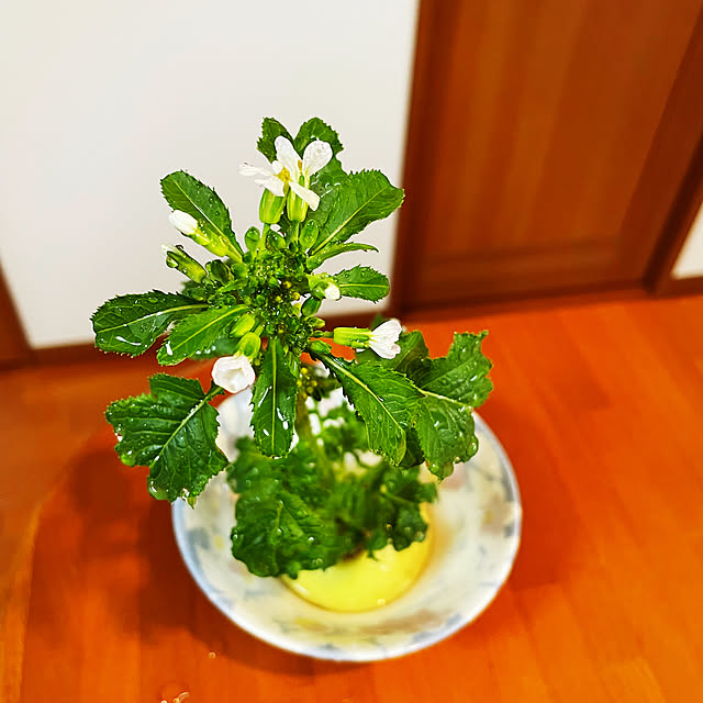 chanchikaさんの実例写真