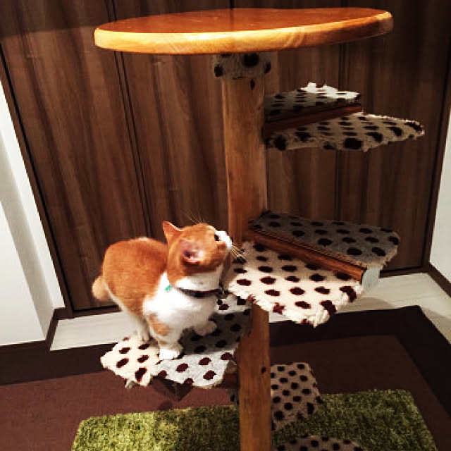 KotarouKunさんの実例写真