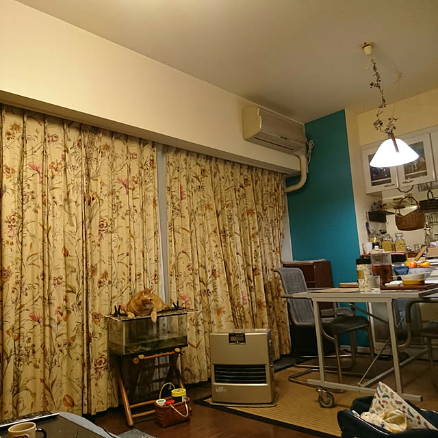 okyosan101さんの実例写真