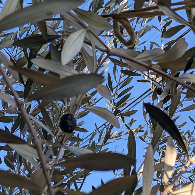 mori_6_12さんの部屋