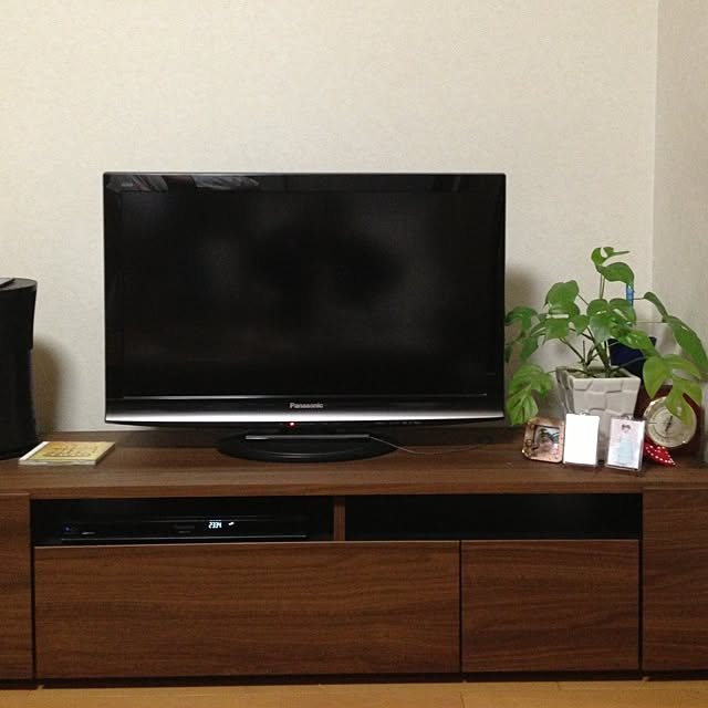 リビング/植物のインテリア実例 - 2013-02-13 23:33:57
