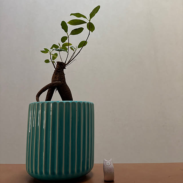 oyoriさんの実例写真