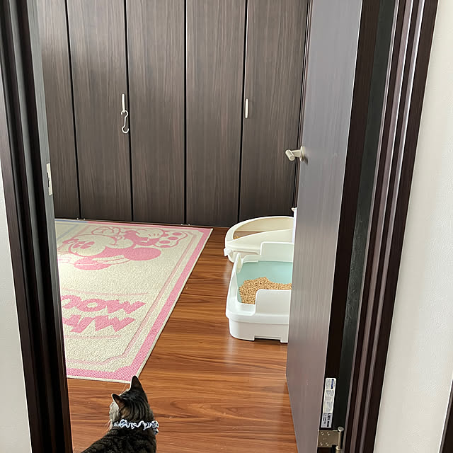 ronさんの実例写真