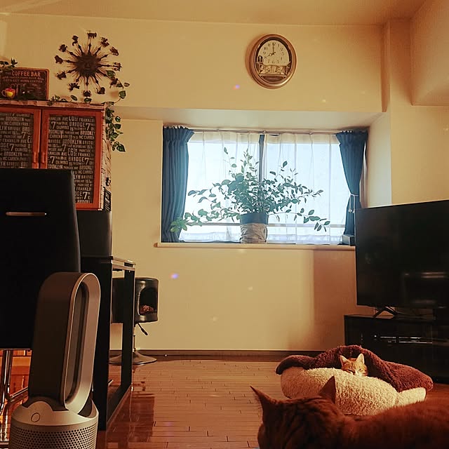 NOAHさんの部屋