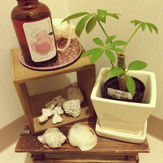 Mizuho07さんの実例写真