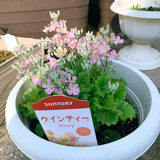 eshinobumさんの部屋