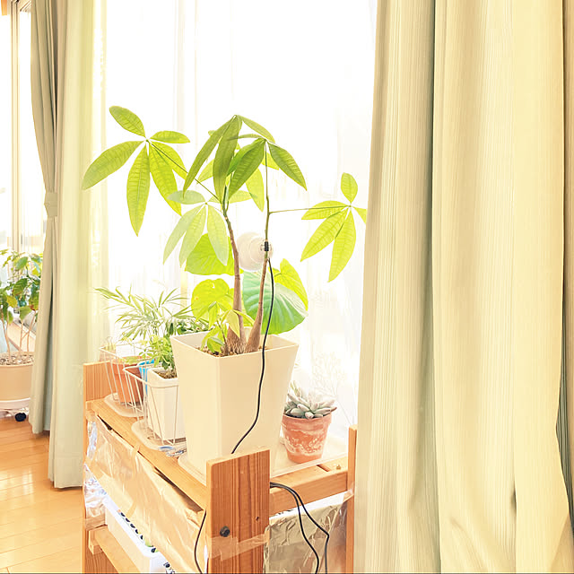 mokaさんの実例写真