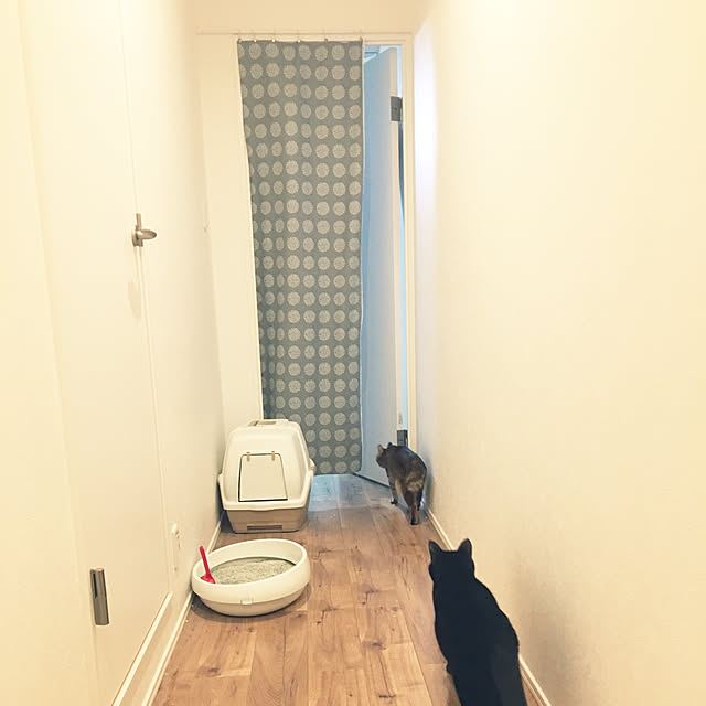 Chimaさんの実例写真