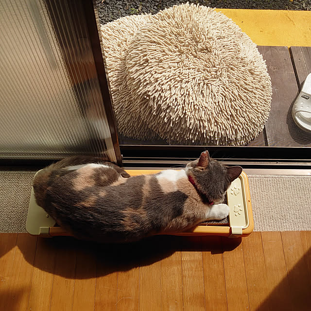 fukuさんの実例写真