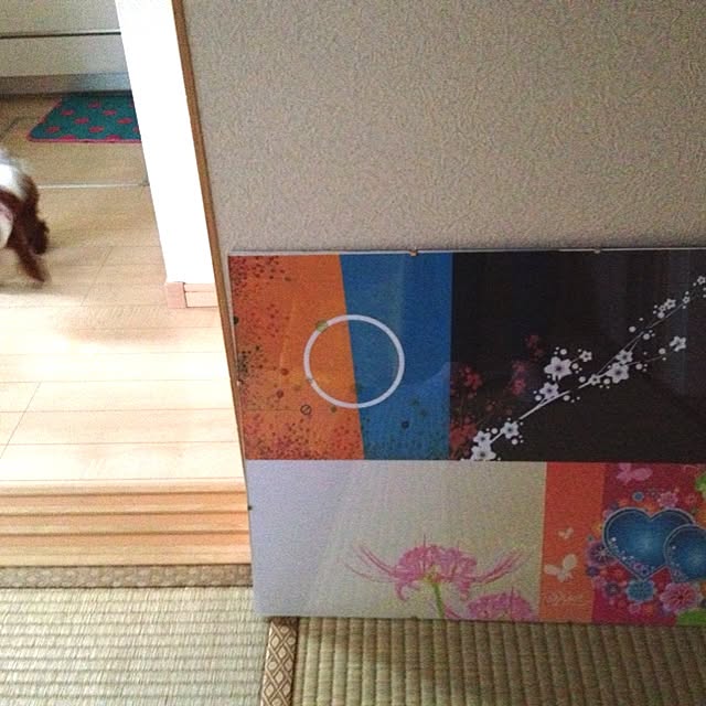 cocoさんの実例写真