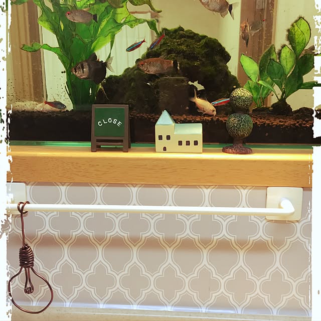toshiさんの実例写真