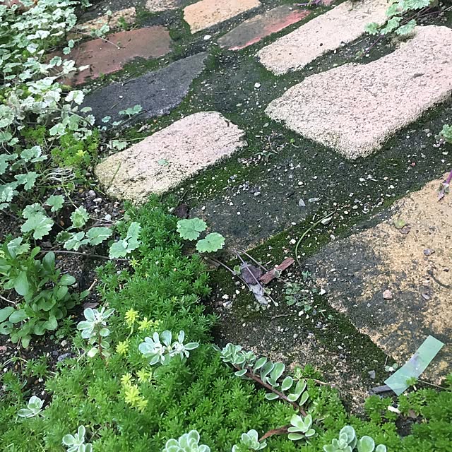 cocco0505さんの実例写真
