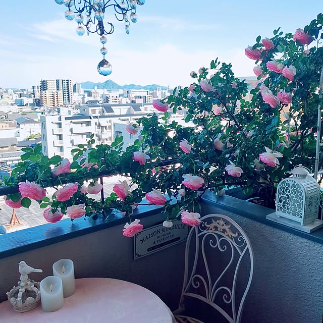 twinkle-butterfly38さんの実例写真