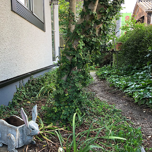ruru357さんの実例写真