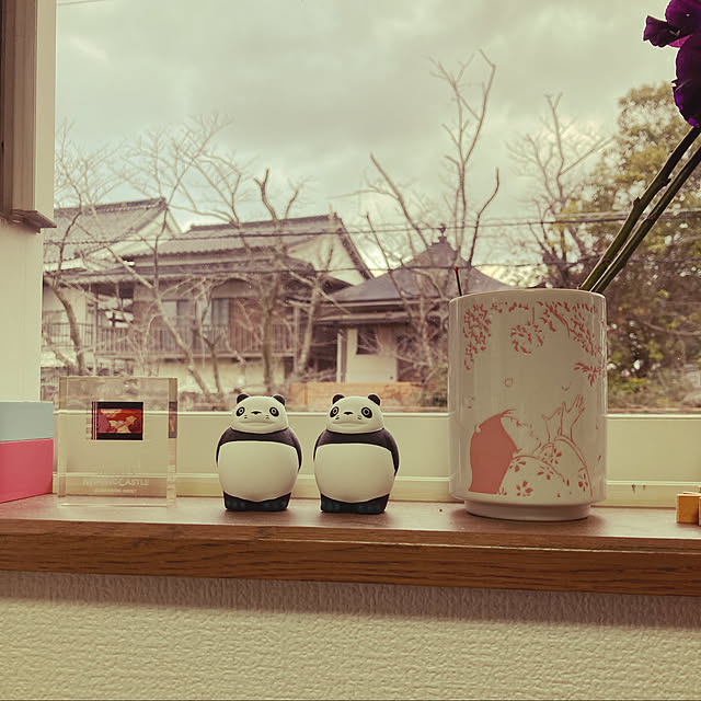 samugarinopunxさんの実例写真