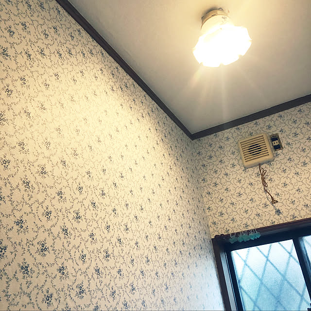 Mihoさんの実例写真