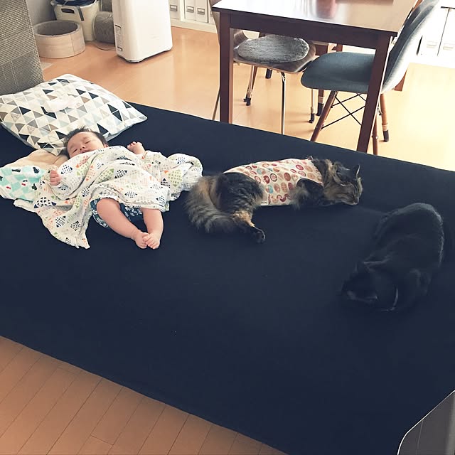yuki0511さんの実例写真