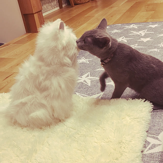 kaoriさんの実例写真
