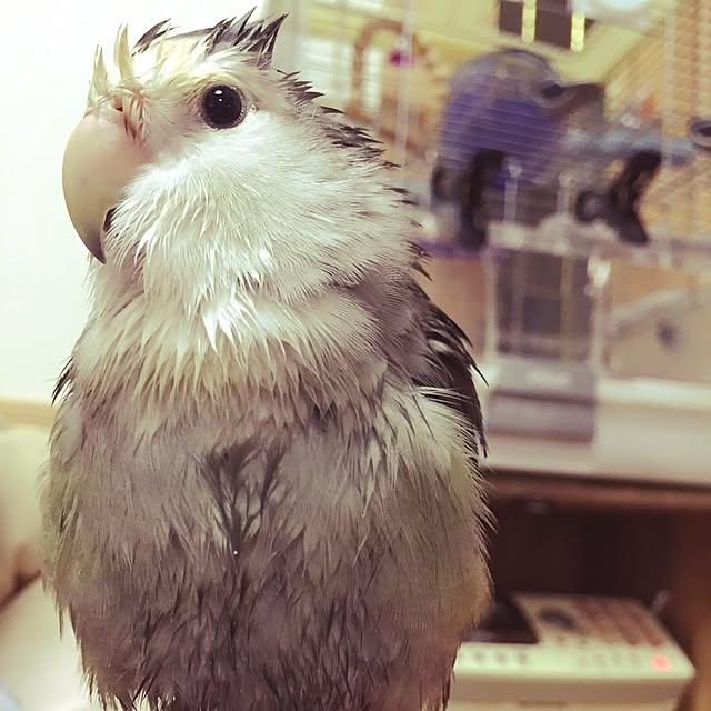 kaotanさんの実例写真