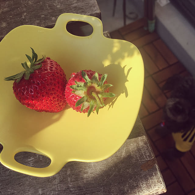 Reiさんの実例写真