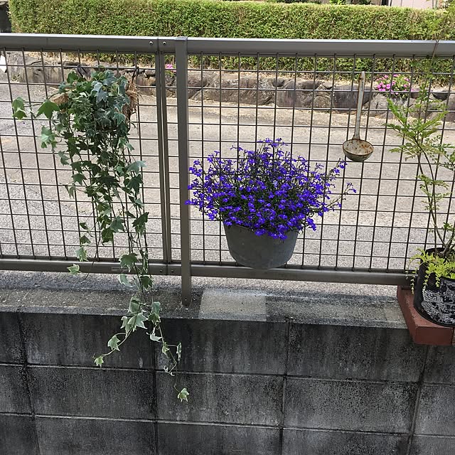 sanw2225719さんの実例写真