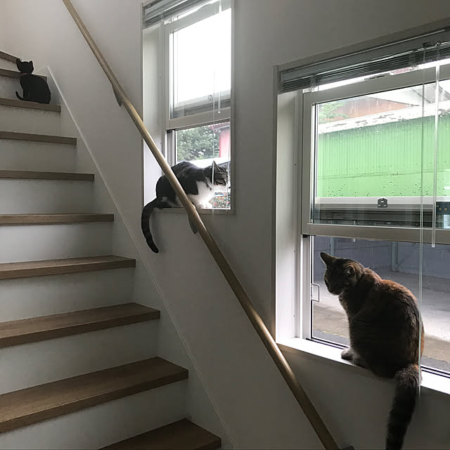 3catさんの実例写真