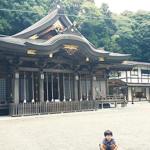 実例写真
