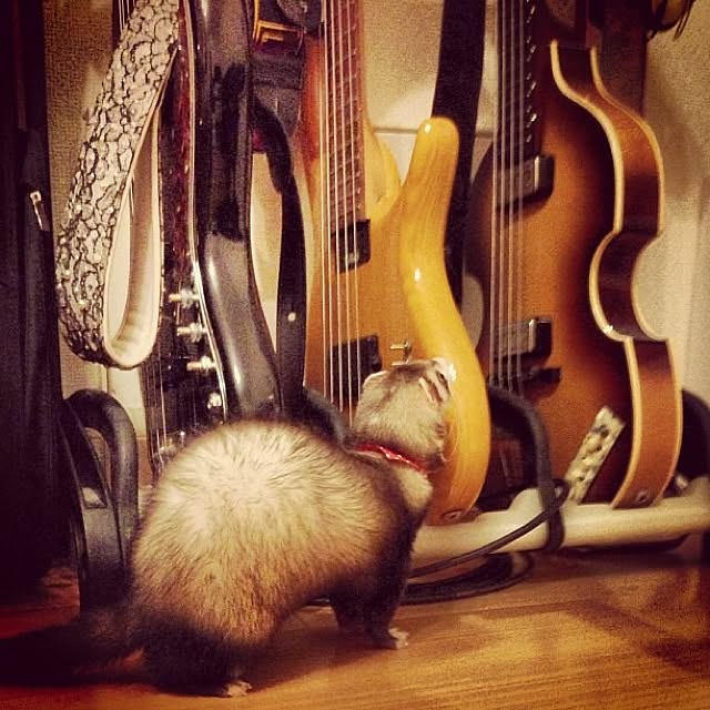 NanaStyleさんの実例写真