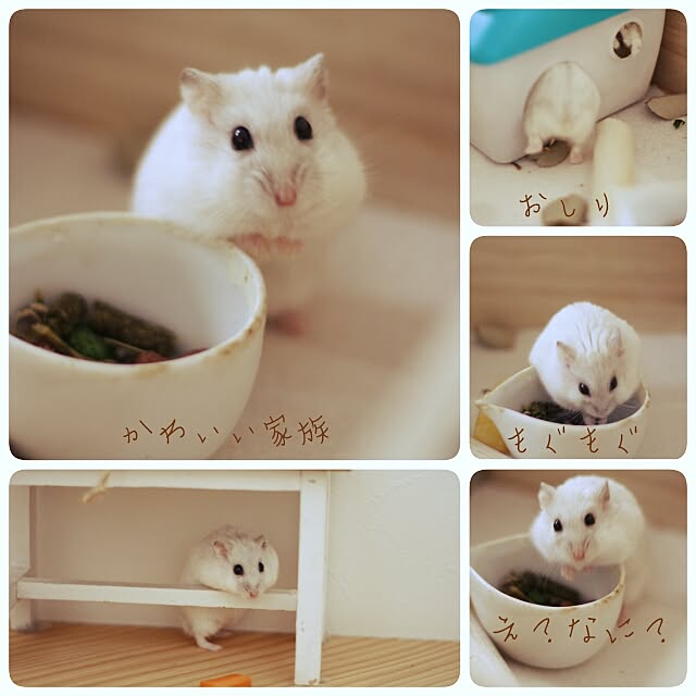 comiriさんの実例写真