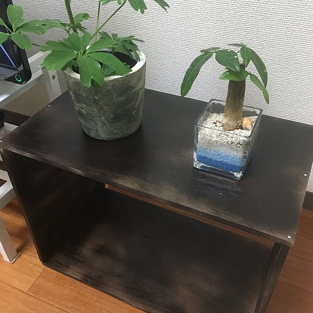 camel0720さんの実例写真